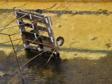 Lost Luggage Mineral Wells, Texas January, 2008