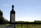 Vinos Irurtia