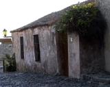 Colonia