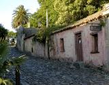 Colonia