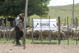 Manuel Ramos Remata Local Chiquitin