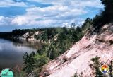 Alum Bluff from slope.jpg