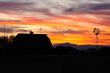 Windmill Sunrise-1649