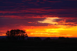 Sunset on drive home-2047