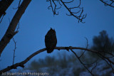 On a cold dark winters night-2630