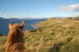 Canal Beagle