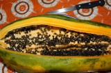 Paw Paw (Papaya)