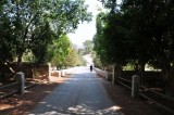 Bet Jimal Monastery & The Olive Grove