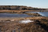 slt_gravelisland_0049.jpg