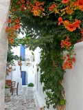 500 Paros.jpg