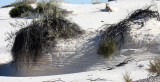 WHITE SANDS NATIONAL MONUMENT - GYPSUM PLANT SAND (3).JPG