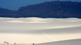 WHITE SANDS NATIONAL MONUMENT - JUNE 2010 (6).JPG