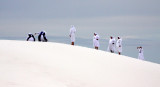 WHITE SANDS NATIONAL MONUMENT NEW MEXICO - SCENES ON THE DUNES.JPG