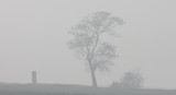 POYANG LAKE NATURE RESERVE - POYANG LAKE, JIANGXI PROVINCE, CHINA (28).JPG