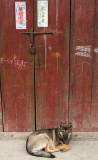 WU CHENG VILLAGE - NANJI HILL RESERVE POYANG LAKE, JIANGXI PROVINCE, CHINA (33).JPG