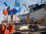 flags, Essaouira
