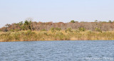 20121005_9914.jpg