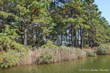 20121005_9971.jpg