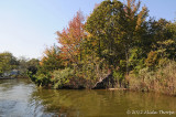 20121005_9997.jpg