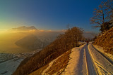 _MG_7856.jpg
