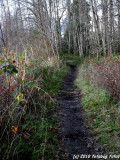 P7000-122210-110.jpg