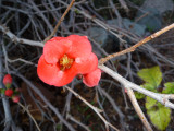 P1090559.JPG