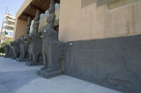Aleppo april 2009 9090.jpg