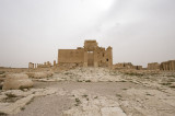 Palmyra apr 2009 0198.jpg