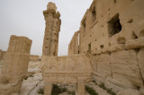 Palmyra apr 2009 0225.jpg