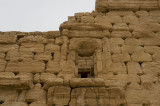 Palmyra apr 2009 0303.jpg
