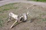 Norsk Folkemuseum