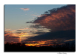 _DSC0358