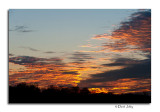 _DSC0362