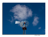 CRW_1616