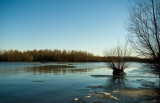 DSC_3272q.jpg