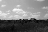 Ghost House