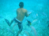 The snorkeling tour leader caught a sting ray with his bare hands.