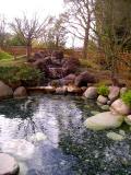 Japanese Garden