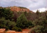 Red rocks and fireblackened trees