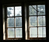 Barn view