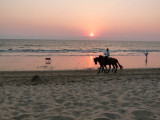 Puerto Vallarta - Karen Kefauver - 45.jpg