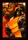 Paris Tuning Show 2