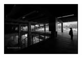 Various BW images 1