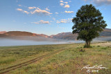 Misty Morning 4850 800.jpg