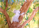koala, Yu Jin, age:7