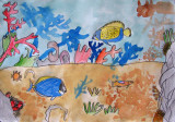 fish, Tony Xu, age:7