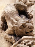 Lion Above the Door
