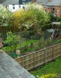 East Oxford back gardens