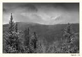 20090520_Jasper_0005.jpg