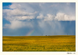 20090719_Standoff_0495.jpg